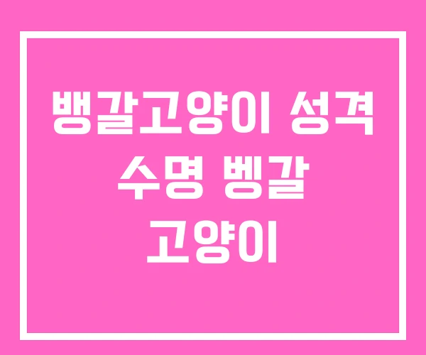 뱅갈고양이 성격 수명 벵갈 고양이 뱅갈고양이 성격 수명 벵갈 고양이
