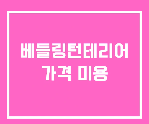베들링턴테리어 가격 미용 베들링턴테리어 가격 미용