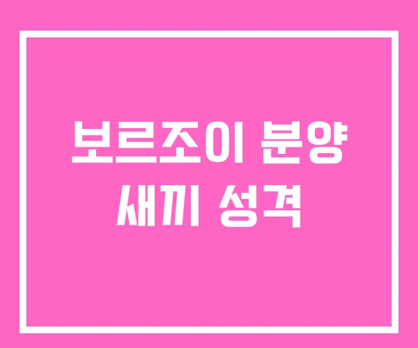 보르조이 분양 새끼 성격 보르조이 분양 새끼 성격