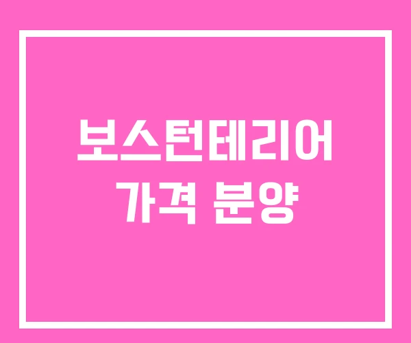 보스턴테리어 가격 분양 보스턴테리어 가격 분양