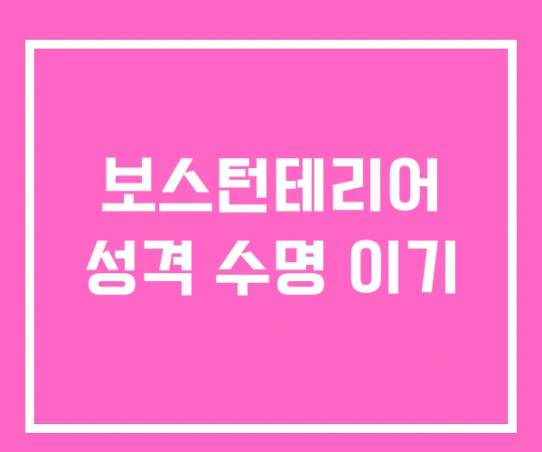 보스턴테리어 성격 수명 이기