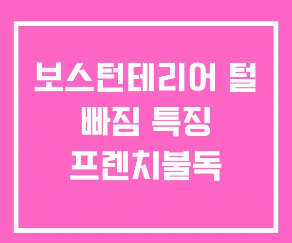 보스턴테리어 털 빠짐 특징 프렌치불독