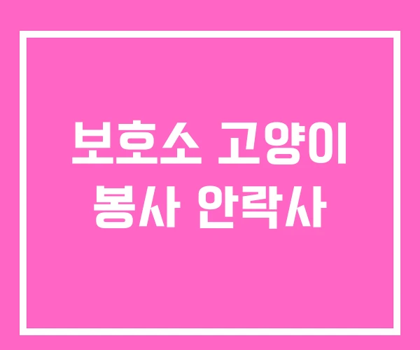 보호소 고양이 봉사 안락사 보호소 고양이 봉사 안락사