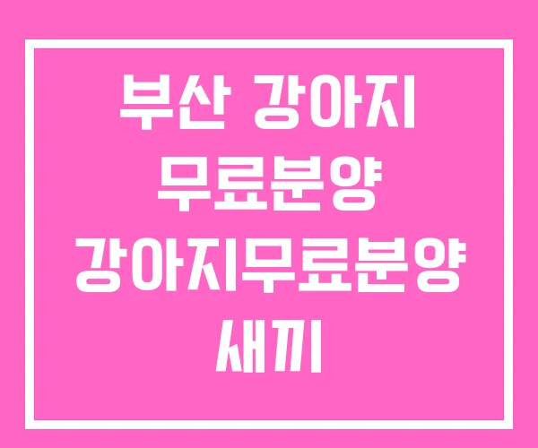 부산 강아지 무료분양 강아지무료분양 새끼