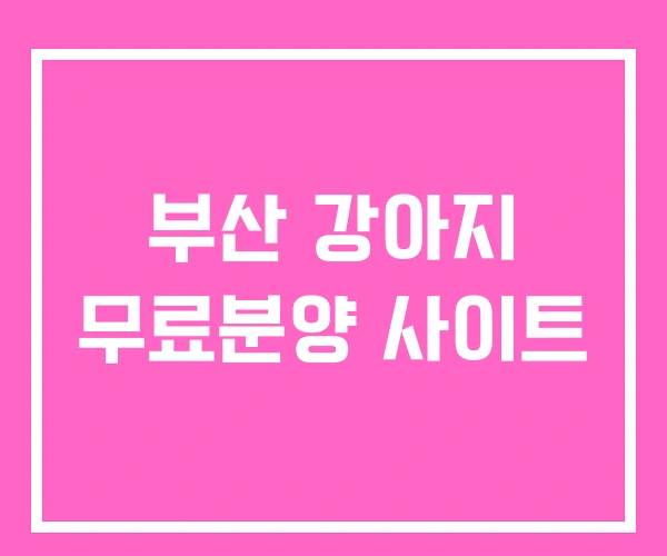 부산 강아지 무료분양 사이트 부산 강아지 무료분양 사이트