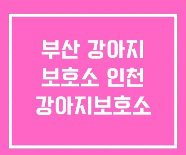 부산 강아지 보호소 인천 강아지보호소