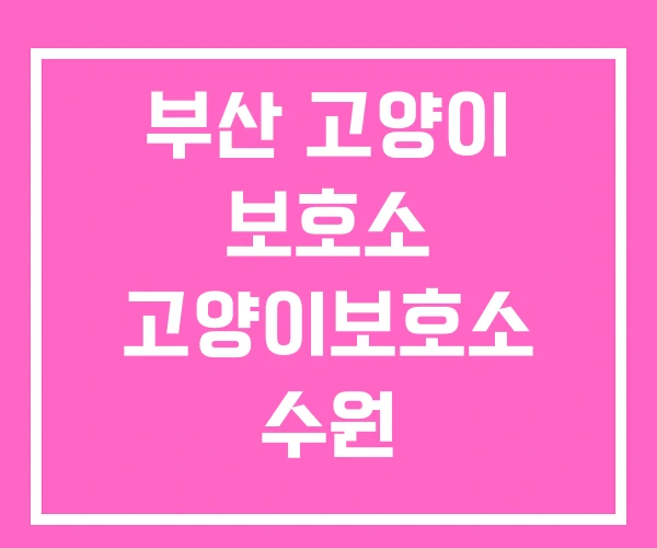부산 고양이 보호소 고양이보호소 수원