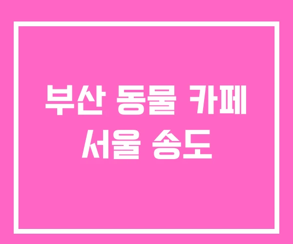 부산 동물 카페 서울 송도