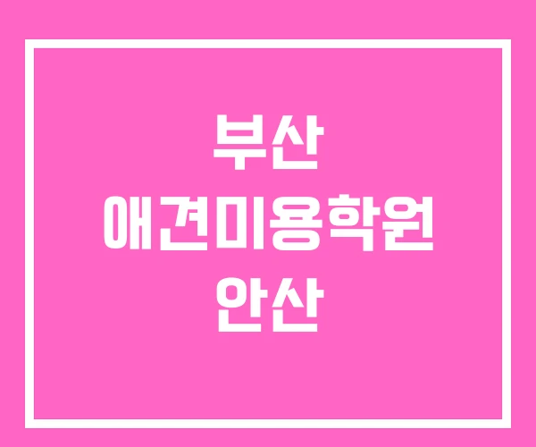 부산 애견미용학원 안산