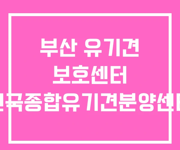 부산 유기견 보호센터 전국종합유기견분양센터