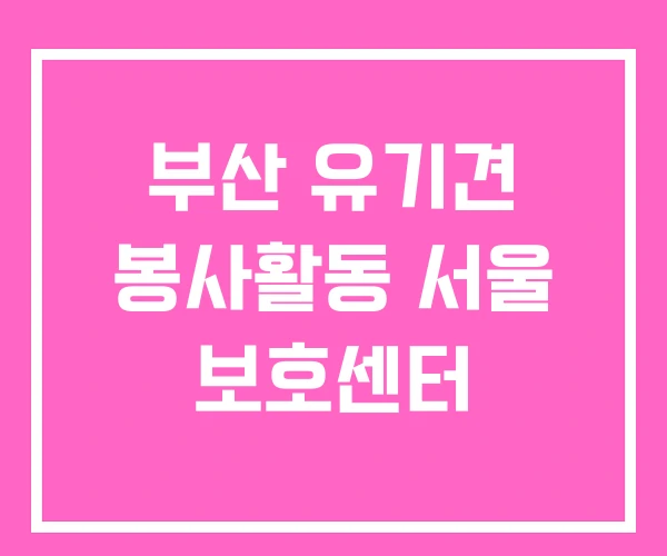 부산 유기견 봉사활동 서울 보호센터