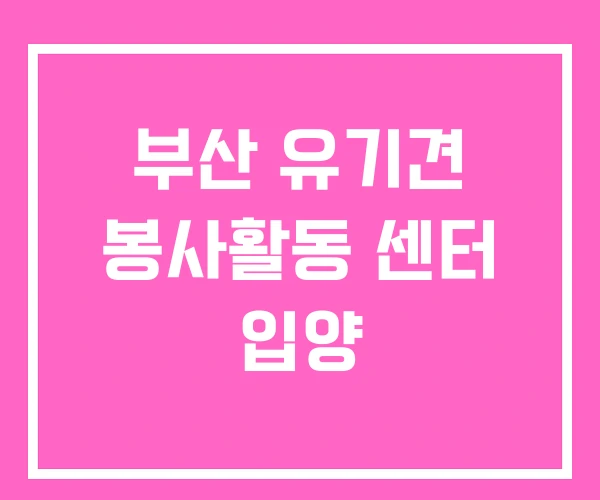 부산 유기견 봉사활동 센터 입양 부산 유기견 봉사활동 센터 입양