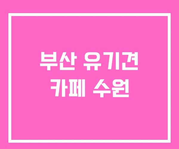 부산 유기견 카페 수원 부산 유기견 카페 수원