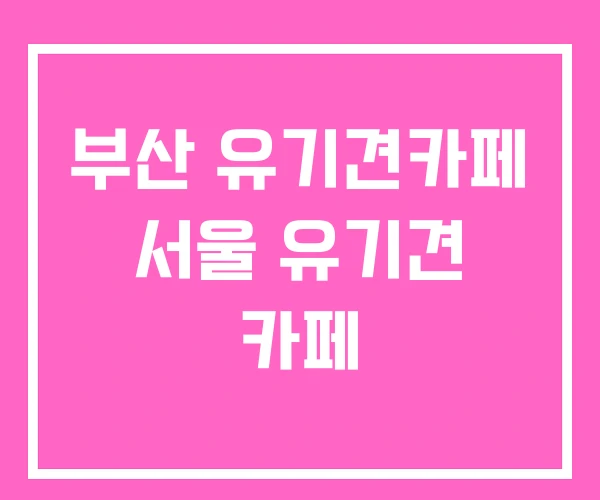 부산 유기견카페 서울 유기견 카페