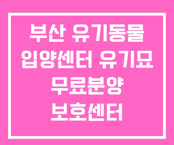 부산 유기동물 입양센터 유기묘 무료분양 보호센터