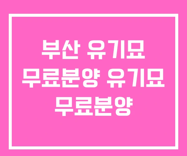 부산 유기묘 무료분양 유기묘 무료분양