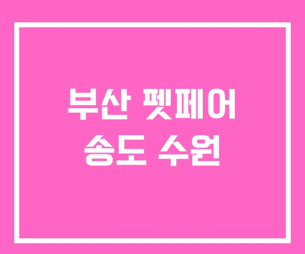 부산 펫페어 송도 수원 부산 펫페어 송도 수원