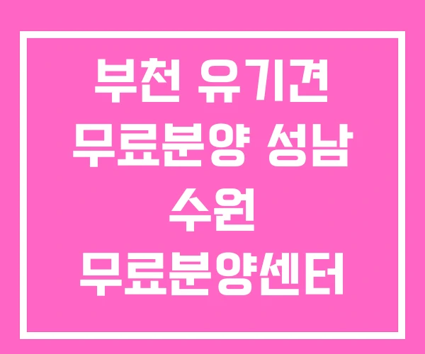 부천 유기견 무료분양 성남 수원 무료분양센터