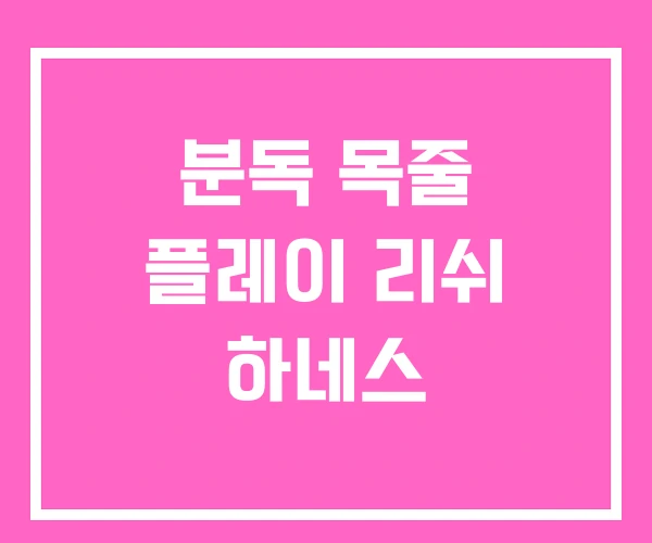 분독 목줄 플레이 리쉬 하네스 분독 목줄 플레이 리쉬 하네스