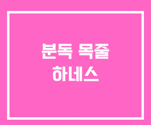 분독 목줄 하네스