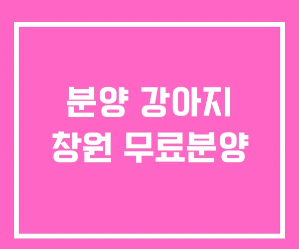 분양 강아지 창원 무료분양