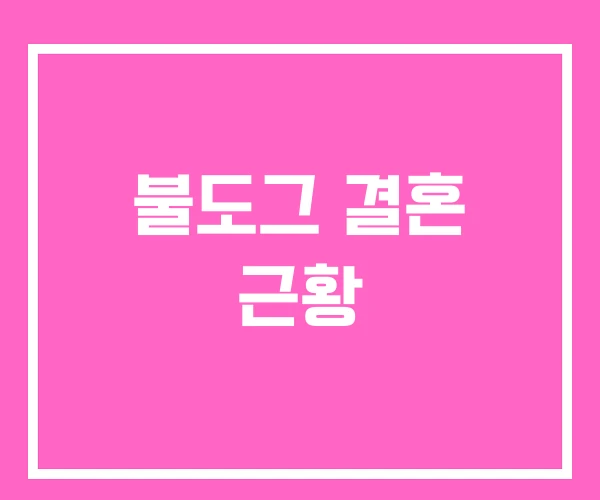 불도그 결혼 근황 불도그 결혼 근황