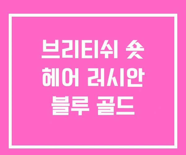 브리티쉬 숏 헤어 러시안 블루 골드