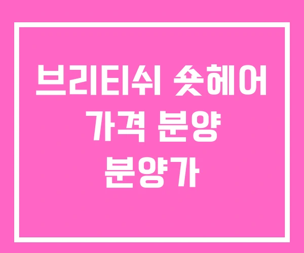브리티쉬 숏헤어 가격 분양 분양가 브리티쉬 숏헤어 가격 분양 분양가