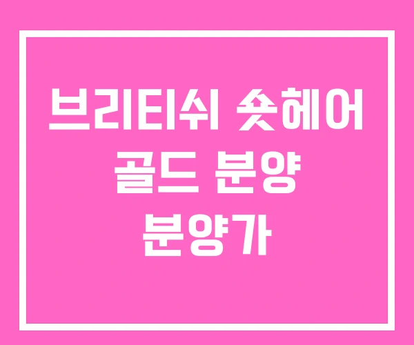 브리티쉬 숏헤어 골드 분양 분양가