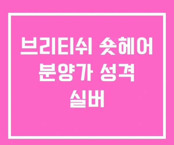 브리티쉬 숏헤어 분양가 성격 실버