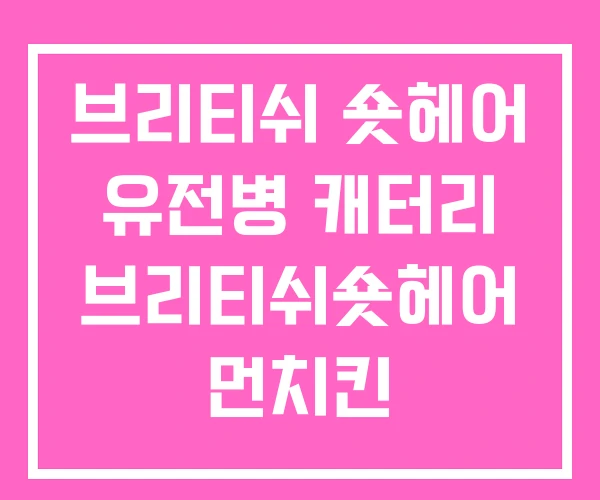 브리티쉬 숏헤어 유전병 캐터리 브리티쉬숏헤어 먼치킨