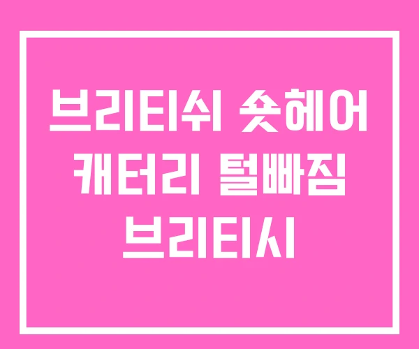 브리티쉬 숏헤어 캐터리 털빠짐 브리티시