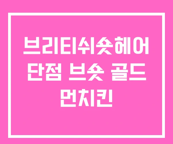 브리티쉬숏헤어 단점 브숏 골드 먼치킨