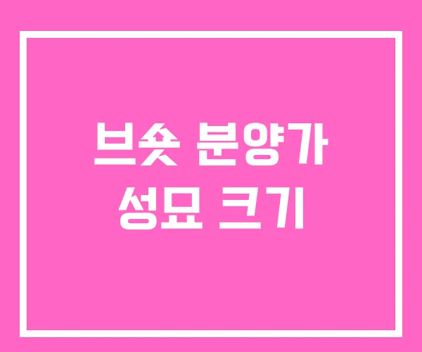 브숏 분양가 성묘 크기