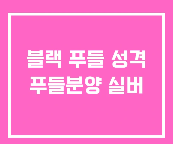 블랙 푸들 성격 푸들분양 실버