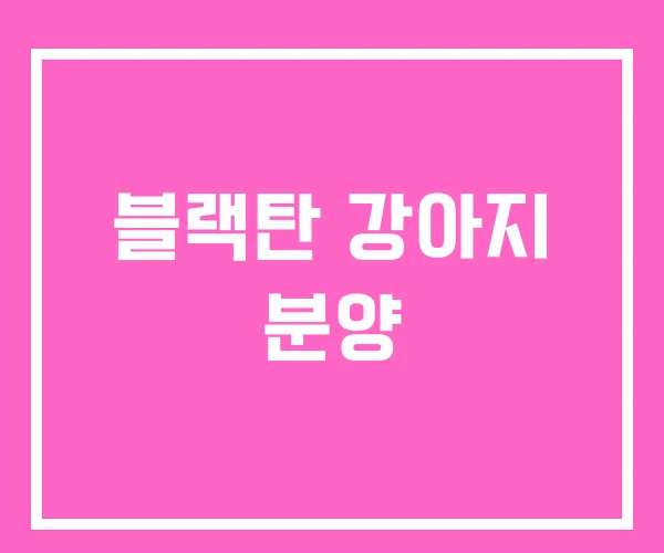 블랙탄 강아지 분양 블랙탄 강아지 분양