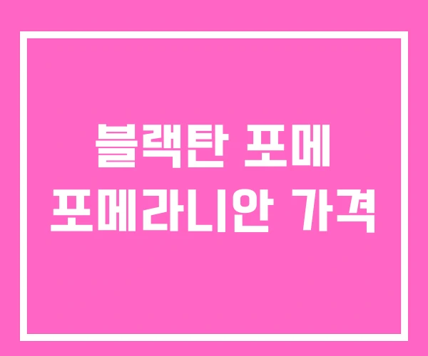 블랙탄 포메 포메라니안 가격