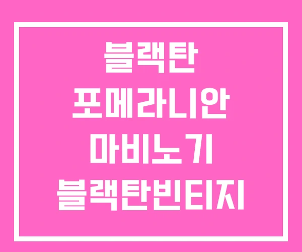 블랙탄 포메라니안 마비노기 블랙탄빈티지 진돗개 강아지 분양