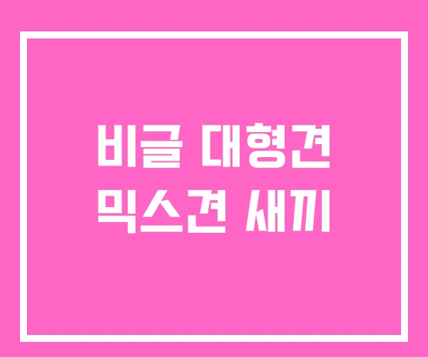 비글 대형견 믹스견 새끼 비글 대형견 믹스견 새끼