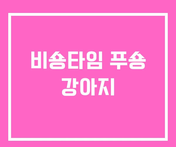 비숑타임 푸숑 강아지 비숑타임 푸숑 강아지