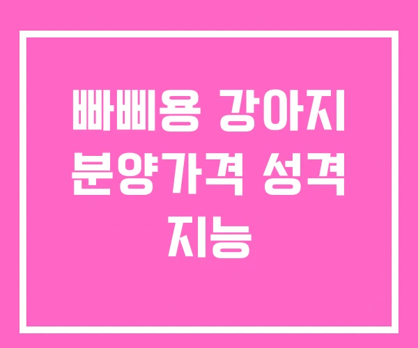 빠삐용 강아지 분양가격 성격 지능