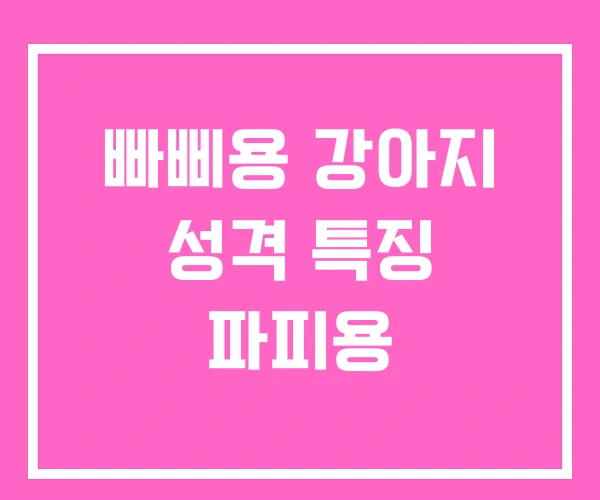 빠삐용 강아지 성격 특징 파피용