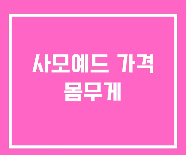 사모예드 가격 몸무게 사모예드 가격 몸무게