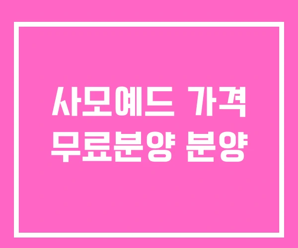 사모예드 가격 무료분양 분양