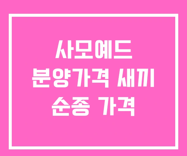 사모예드 분양가격 새끼 순종 가격 사모예드 분양가격 새끼 순종 가격