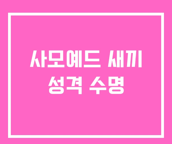 사모예드 새끼 성격 수명