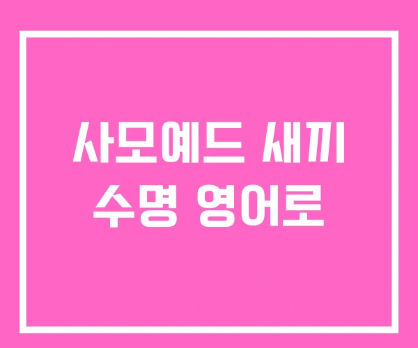 사모예드 새끼 수명 영어로 사모예드 새끼 수명 영어로