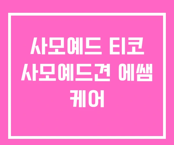 사모예드 티코 사모예드견 에쌤 케어