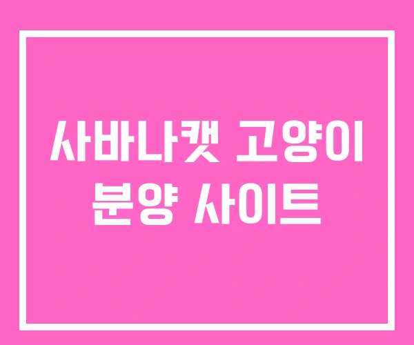 사바나캣 고양이 분양 사이트 사바나캣 고양이 분양 사이트