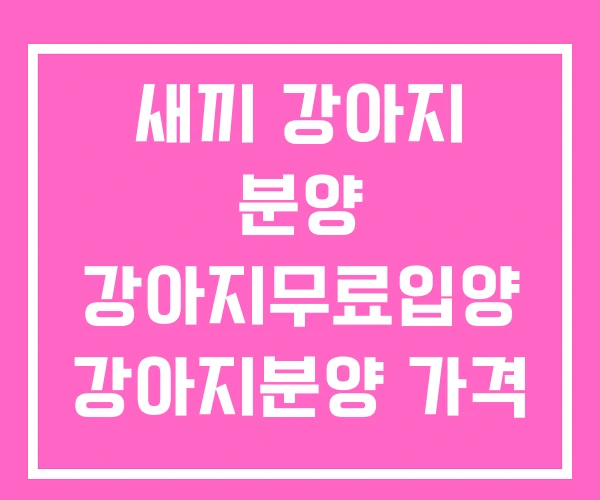 새끼 강아지 분양 강아지무료입양 강아지분양 가격 새끼 강아지 분양 강아지무료입양 강아지분양 가격